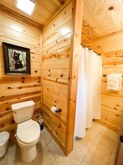 Indoor Heated Pool Hot Tub Cabin Севьервилл Экстерьер фото